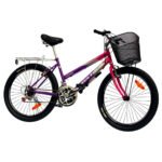 Bicicleta Montañesa de Dama de 24