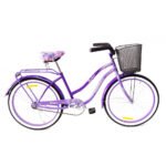 Bicicleta Control 24