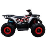 Cuatrimoto AVT FOX 125