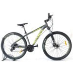 Bicicleta Droute Neptune de 29