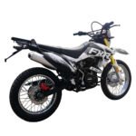 Motocicleta FXR 150L - Imagen 2